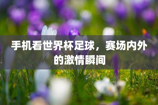 手机看世界杯足球，赛场内外的激情瞬间