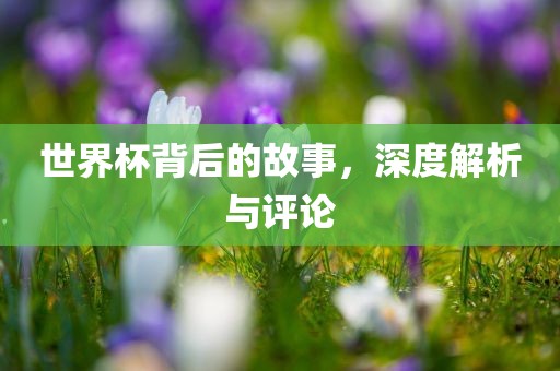 世界杯背后的故事，深度解析与评论