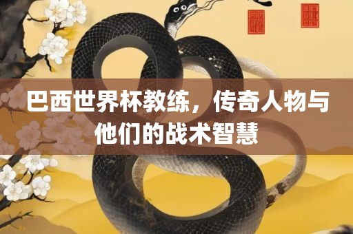巴西世界杯教练，传奇人物与他们的战术智慧