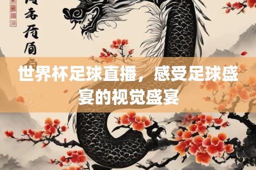 世界杯足球直播，感受足球盛宴的视觉盛宴