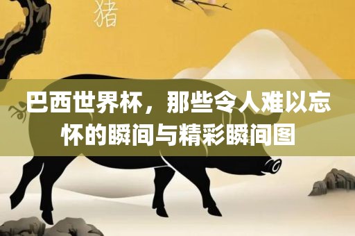 巴西世界杯，那些令人难以忘怀的瞬间与精彩瞬间图