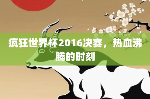 疯狂世界杯2016决赛，热血沸腾的时刻