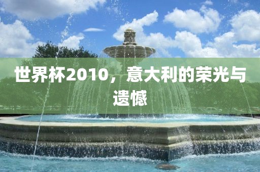 世界杯2010，意大利的荣光与遗憾