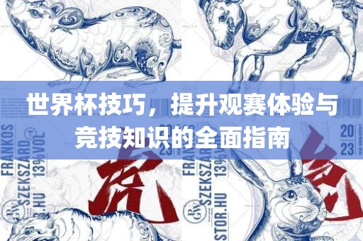 世界杯技巧，提升观赛体验与竞技知识的全面指南