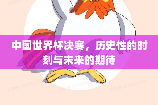 中国世界杯决赛，历史性的时刻与未来的期待