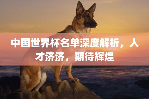 中国世界杯名单深度解析，人才济济，期待辉煌