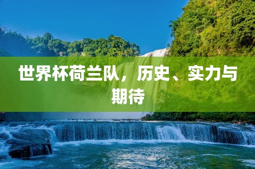 世界杯荷兰队，历史、实力与期待