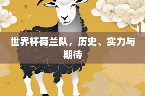 世界杯荷兰队，历史、实力与期待