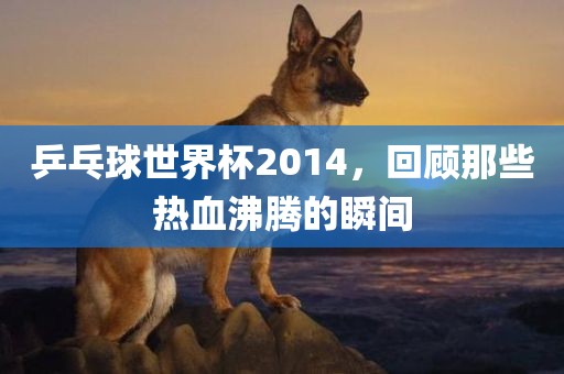 乒乓球世界杯2014，回顾那些热血沸腾的瞬间