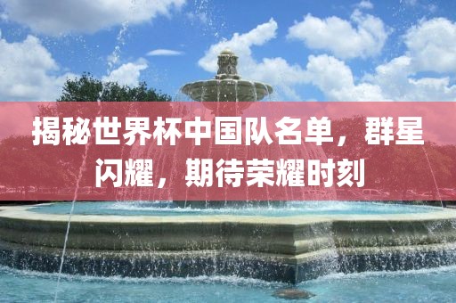 揭秘世界杯中国队名单，群星闪耀，期待荣耀时刻