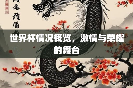 世界杯情况概览，激情与荣耀的舞台