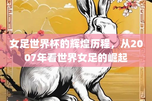 女足世界杯的辉煌历程，从2007年看世界女足的崛起