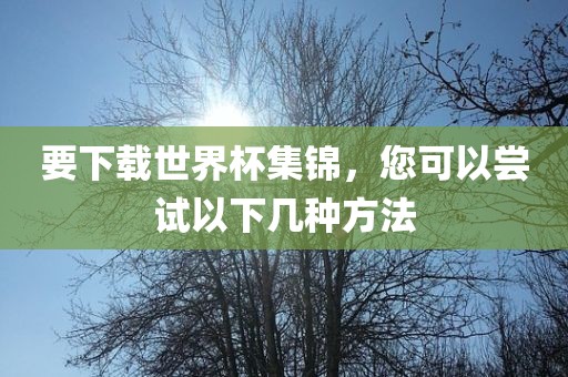 要下载世界杯集锦，您可以尝试以下几种方法