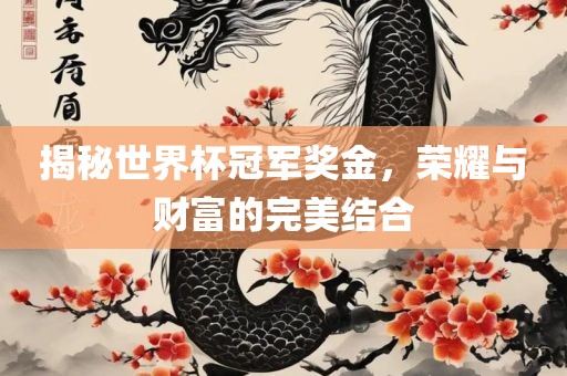 揭秘世界杯冠军奖金，荣耀与财富的完美结合