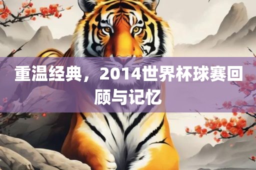 重温经典，2014世界杯球赛回顾与记忆