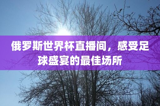 俄罗斯世界杯直播间，感受足球盛宴的最佳场所