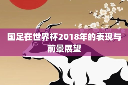 国足在世界杯2018年的表现与前景展望
