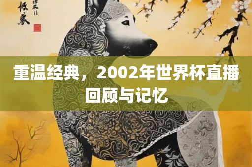 重温经典，2002年世界杯直播回顾与记忆