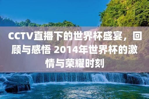 CCTV直播下的世界杯盛宴，回顾与感悟 2014年世界杯的激情与荣耀时刻
