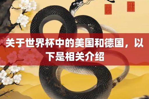 关于世界杯中的美国和德国，以下是相关介绍