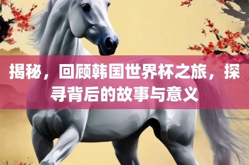 揭秘，回顾韩国世界杯之旅，探寻背后的故事与意义
