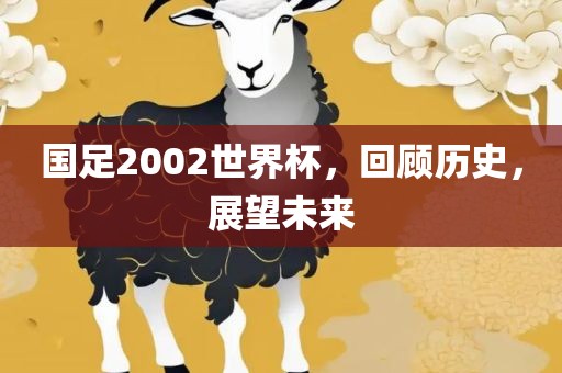 国足2002世界杯，回顾历史，展望未来