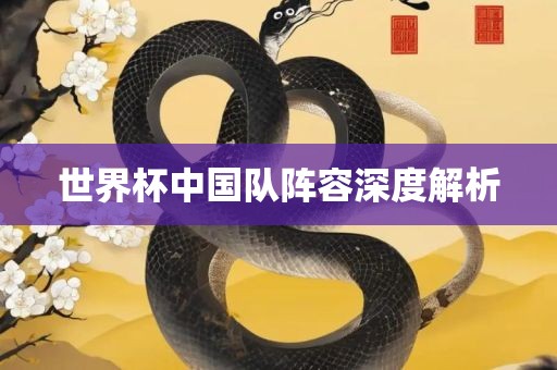 世界杯中国队阵容深度解析