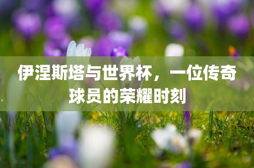 伊涅斯塔与世界杯，一位传奇球员的荣耀时刻
