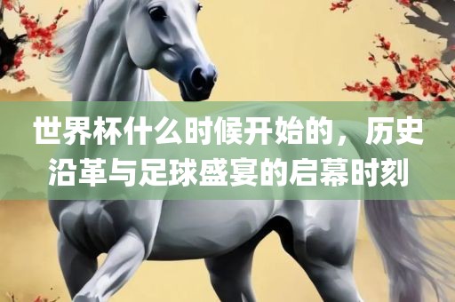 世界杯什么时候开始的，历史沿革与足球盛宴的启幕时刻