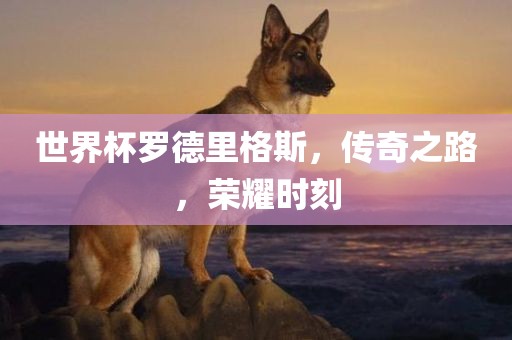 世界杯罗德里格斯，传奇之路，荣耀时刻