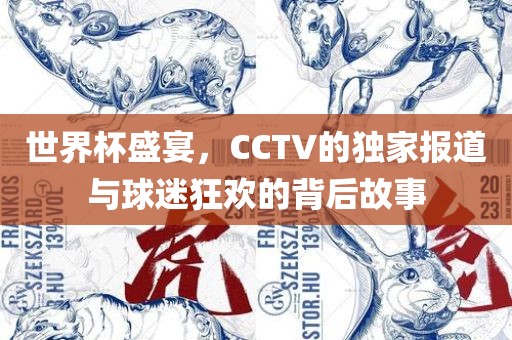 世界杯盛宴，CCTV的独家报道与球迷狂欢的背后故事