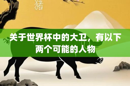 关于世界杯中的大卫，有以下两个可能的人物