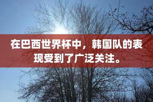 在巴西世界杯中，韩国队的表现受到了广泛关注。