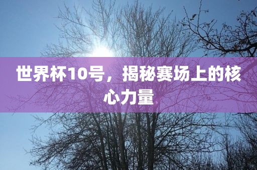 世界杯10号，揭秘赛场上的核心力量