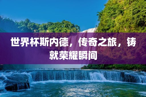 世界杯斯内德，传奇之旅，铸就荣耀瞬间