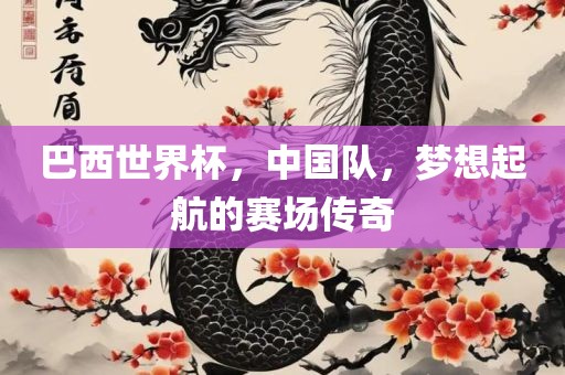 巴西世界杯，中国队，梦想起航的赛场传奇