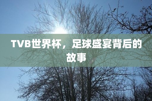 TVB世界杯，足球盛宴背后的故事