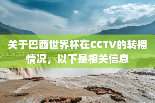 关于巴西世界杯在CCTV的转播情况，以下是相关信息