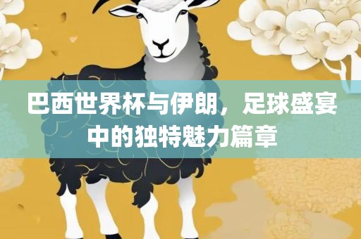 巴西世界杯与伊朗，足球盛宴中的独特魅力篇章