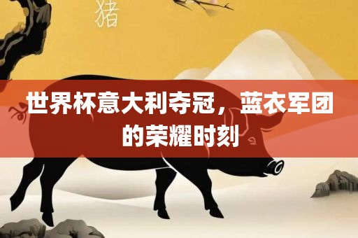 世界杯意大利夺冠，蓝衣军团的荣耀时刻