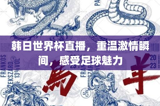 韩日世界杯直播，重温激情瞬间，感受足球魅力