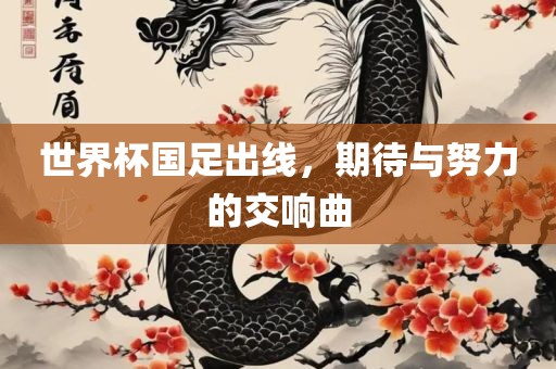 世界杯国足出线，期待与努力的交响曲