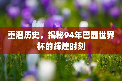 重温历史，揭秘94年巴西世界杯的辉煌时刻