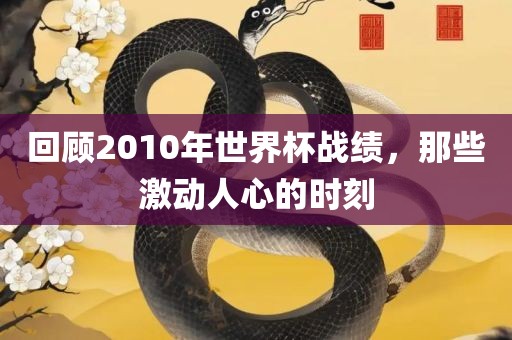 回顾2010年世界杯战绩，那些激动人心的时刻