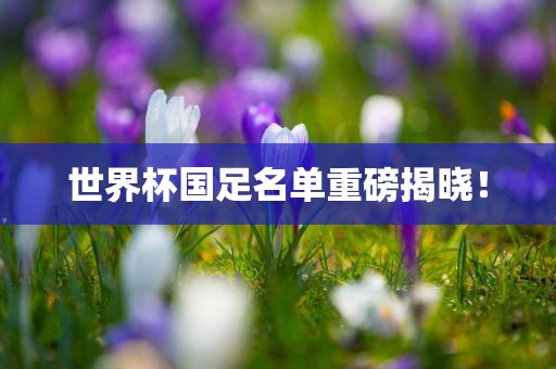 世界杯国足名单重磅揭晓！