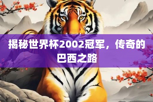 揭秘世界杯2002冠军，传奇的巴西之路
