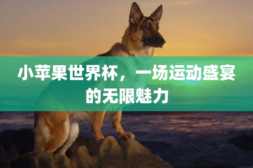 小苹果世界杯，一场运动盛宴的无限魅力