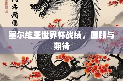 塞尔维亚世界杯战绩，回顾与期待