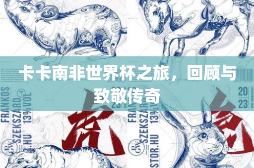 卡卡南非世界杯之旅，回顾与致敬传奇