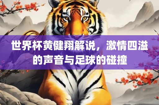 世界杯黄健翔解说，激情四溢的声音与足球的碰撞
